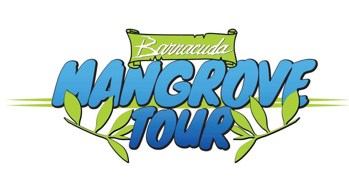 barracuda jungle tour cancun