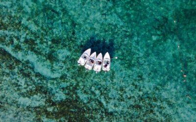 ¿Qué es el Jungle Tour en Cancún y por qué todos lo recomiendan?