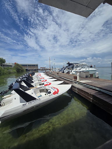 Photo from customer review