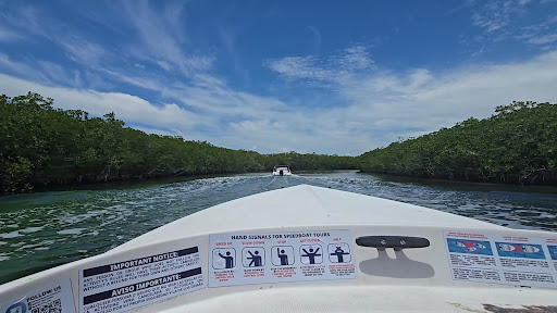 Photo from customer review