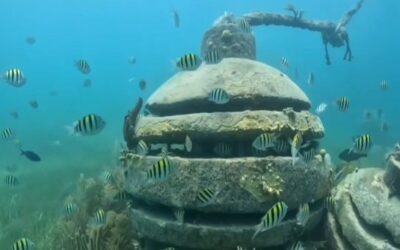 Snorkel en Cancún para principiantes: mejores lugares, consejos y qué esperar